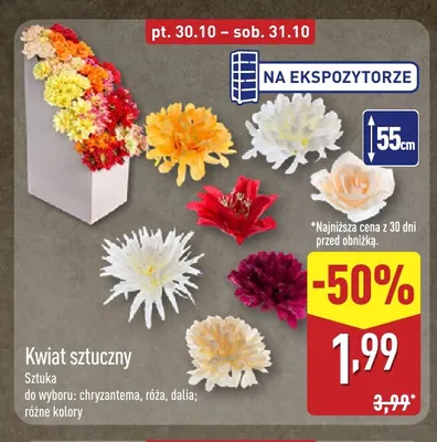 Kwiat sztuczny chryzantema promocja w Aldi