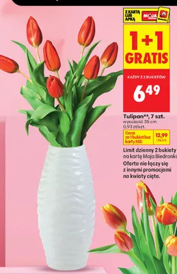 Tulipan 7 szt. promocja w Biedronka
