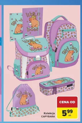 Kolekcja Capybara promocja w Carrefour
