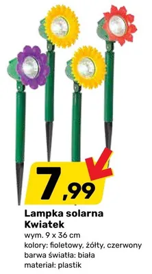 Lampka solarna Kwiatek 9x36cm kolor czerwony promocja w Bricomarche