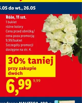 Róże promocja w Lidl