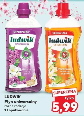 Płyn uniwersalny różne rodzaje, 1 l  promocja w Kaufland