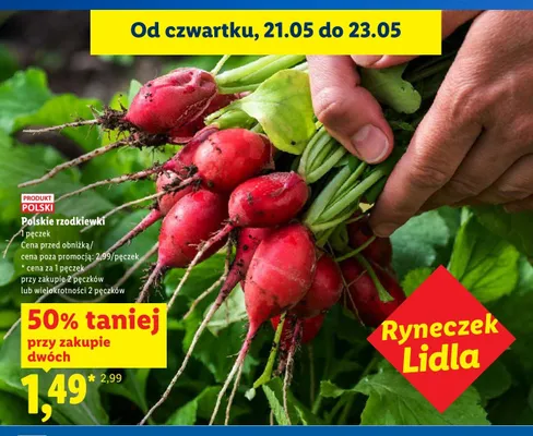 Rzodkiewki polskie Ryneczek Lidla promocja w Lidl