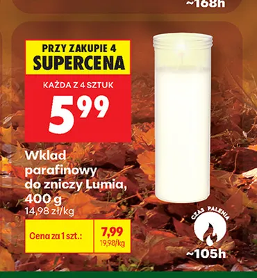 Wkład parafinowy do zniczy Lumía promocja w Biedronka