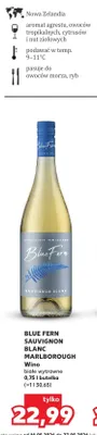 Wino BLUE FERN SAUVIGNON BLANC MARLBOROUGH białe wytrawne promocja w Kaufland