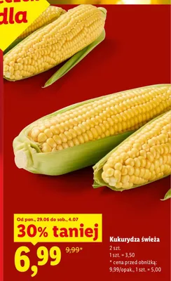 Kukurydza świeża promocja w Lidl