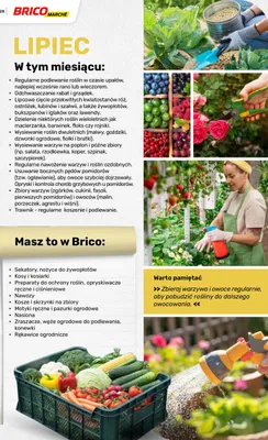 Katalog ogród, strona 127 promocja w Bricomarche