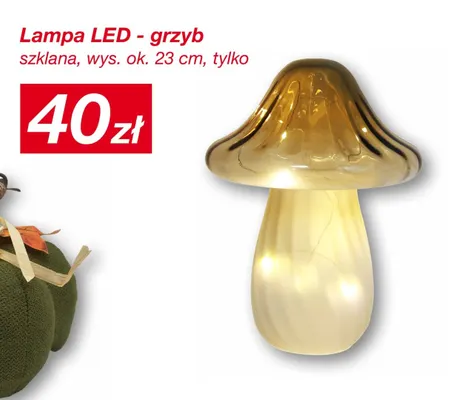 Lampa LED grzyb promocja w KiK