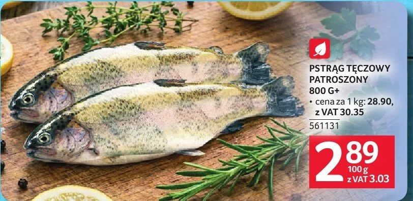 Pstrąg tęczowy patroszony promocja w Selgros