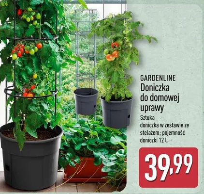 Doniczka do domowej uprawy promocja w Aldi