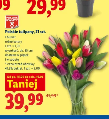 Polskie tulipany 21-pak promocja w Lidl