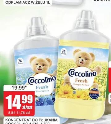 Koncentrat do płukania Coccolino promocja w Bingo