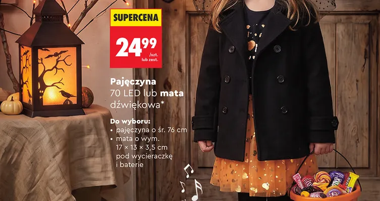 Pajęczyna 70 LED promocja w Biedronka