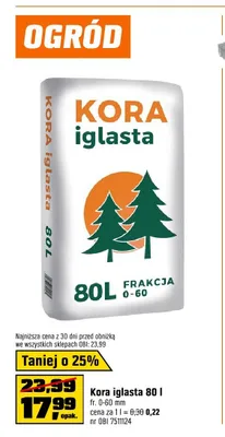 Kora iglasta promocja w OBI