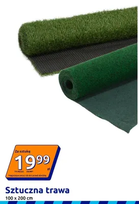 Sztuczna trawa 100x200cm promocja w Action