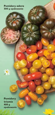 Pomidory adora promocja w Kaufland