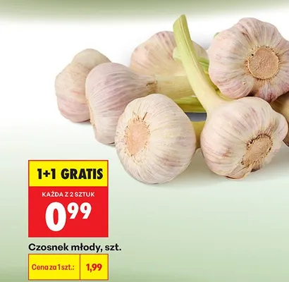 Czosnek młody promocja w Biedronka
