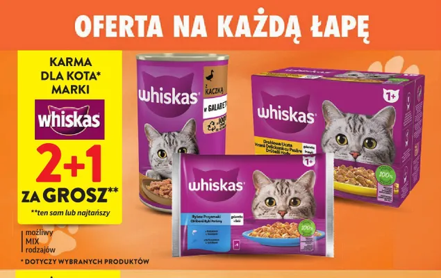 Karma dla kota marki Whiskas promocja w Intermarche