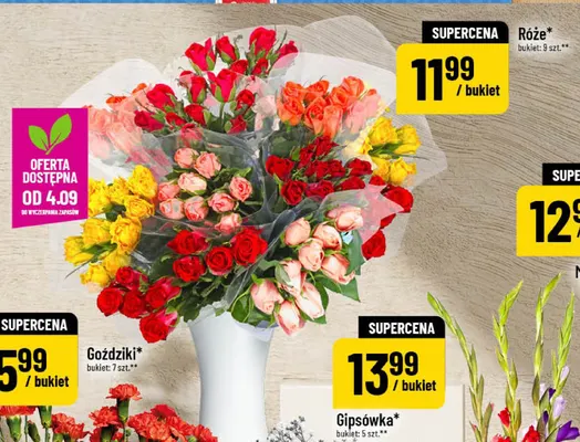Róże bukiet 9-pak promocja w POLOmarket