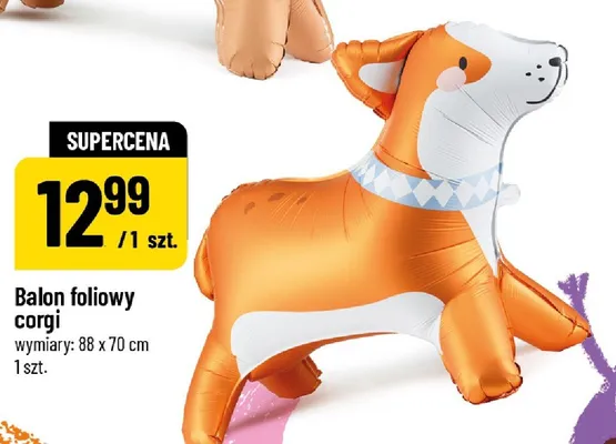 Balon foliowy corgi wymiary: 88x70cm promocja w POLOmarket