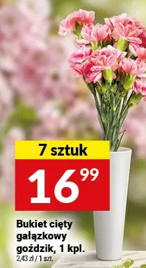 Bukiet cięty gałązkowy goździk promocja w Twój Market