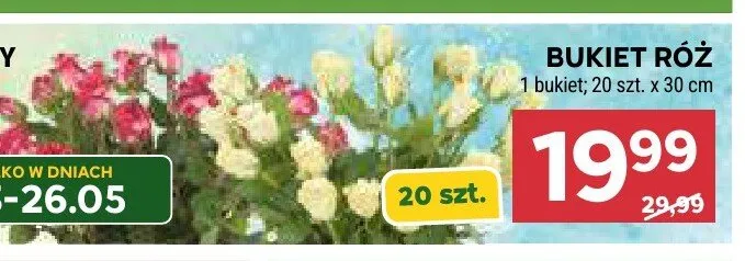 Bukiet róż 20-pak 30cm promocja w Stokrotka