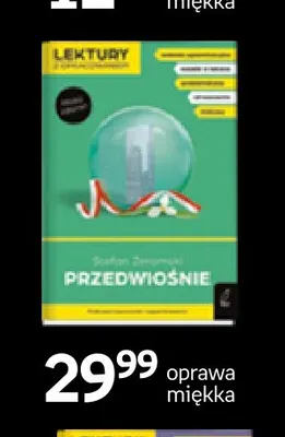 Książka Przedwiośnie oprawa miękka Wilga promocja w Empik
