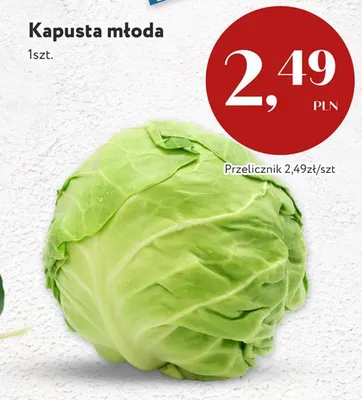 Kapusta młoda promocja w Market Point