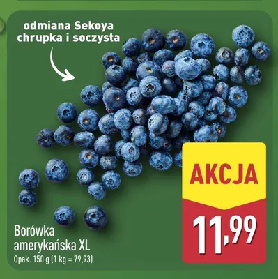 Borówka amerykańska XL promocja w Aldi