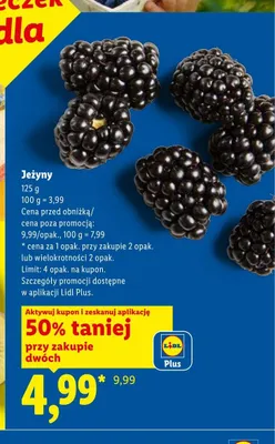 Jeżyny promocja w Lidl