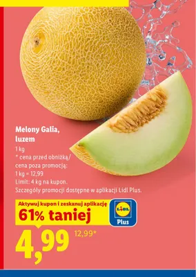 Melon Galia luzem promocja w Lidl