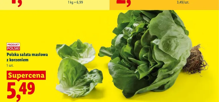 Sałata masłowa z korzeniem polska promocja w Lidl