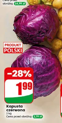 Kapusta czerwona promocja w Dino