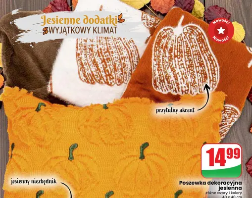 Poszewka dekoracyjna jesienna 40x40 cm promocja w Dino