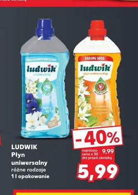 Płyn uniwersalny Ludwik promocja w Kaufland