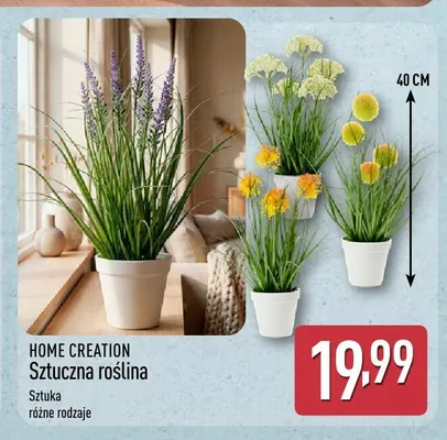 Sztuczna roślina Home Creation promocja w Aldi
