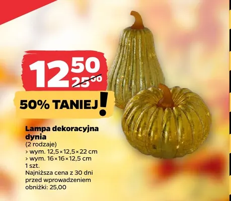 Lampa dekoracyjna dynia 16x16x12,5 cm promocja w Netto