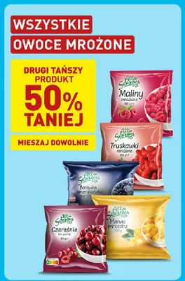 Borówka amerykańska mrożona All Seasons promocja w Aldi