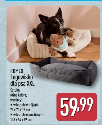 Legowisko dla psa XXL promocja w Aldi