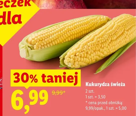 Kukurydza świeża 2-pak promocja w Lidl