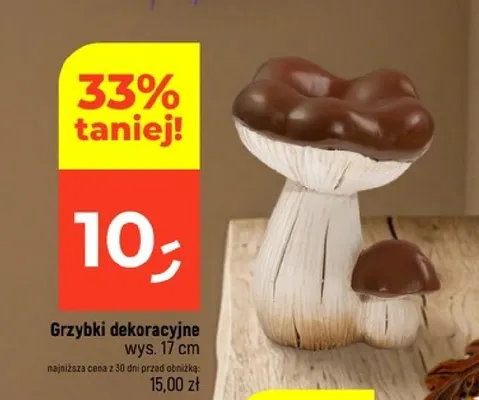 Grzybki dekoracyjne promocja w Dealz