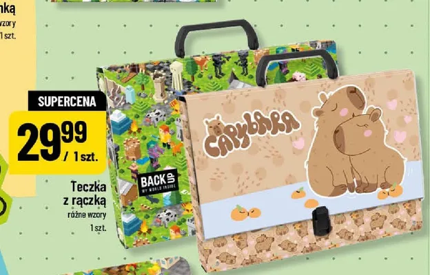 Teczka z rączką BackS promocja w POLOmarket