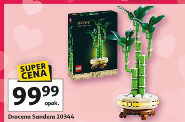 Dracena Sandera LEGO 10344 promocja w Auchan