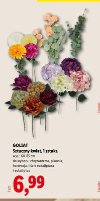 Sztuczny kwiat eukaliptus Goliat promocja w Lidl