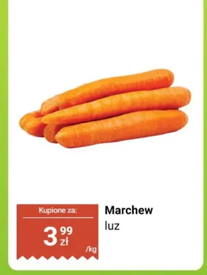 Marchew luz promocja w Biedronka
