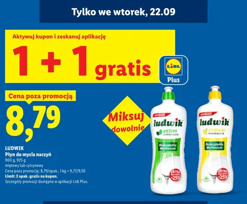 Płyn do mycia naczyń cytrynowy Ludwik promocja w Lidl