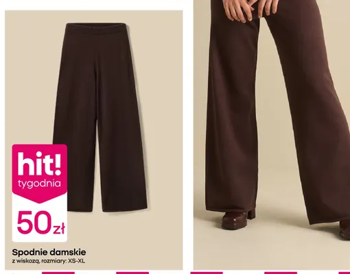 Spodnie damskie s-xl promocja w Pepco
