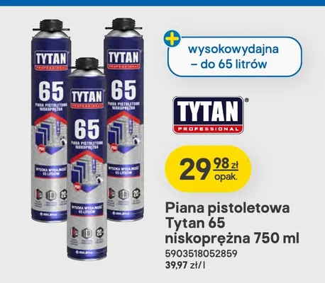 Piana pistoletowa Tytan 65 niskoprężna promocja w Castorama