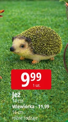 Jeż promocja w Leclerc