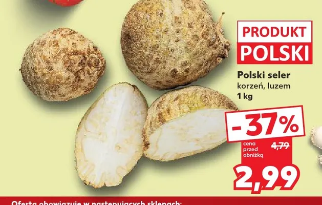 Seler korzeń polski promocja w Kaufland